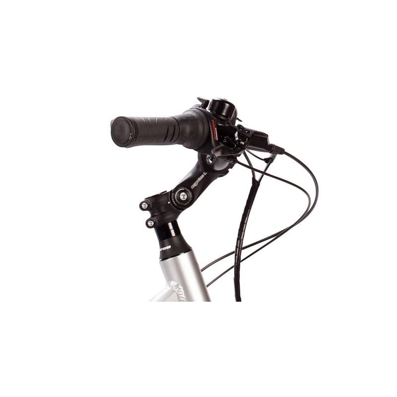 Carver Cityzen E.310 RT - 400 Wh - Auslaufmodell - 28 Zoll - Tiefeinsteiger – Bild 6