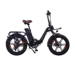 ET.CYCLE F720 20" schwarz E-Fatbike,