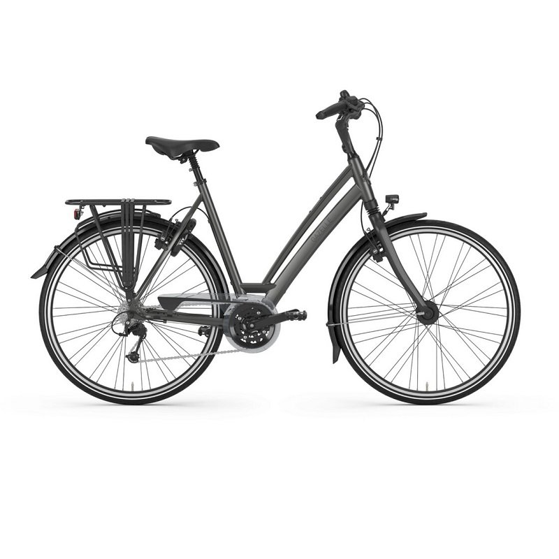 Gazelle Chamonix T30 - 2023 - 28 Zoll - Tiefeinsteiger