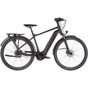 Giant DailyTour E+ 2 GTS schwarz.