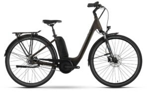 Raymon CityRay E 4.0 SE CB - 500 Wh - 26 Zoll - Tiefeinsteiger - 2024
